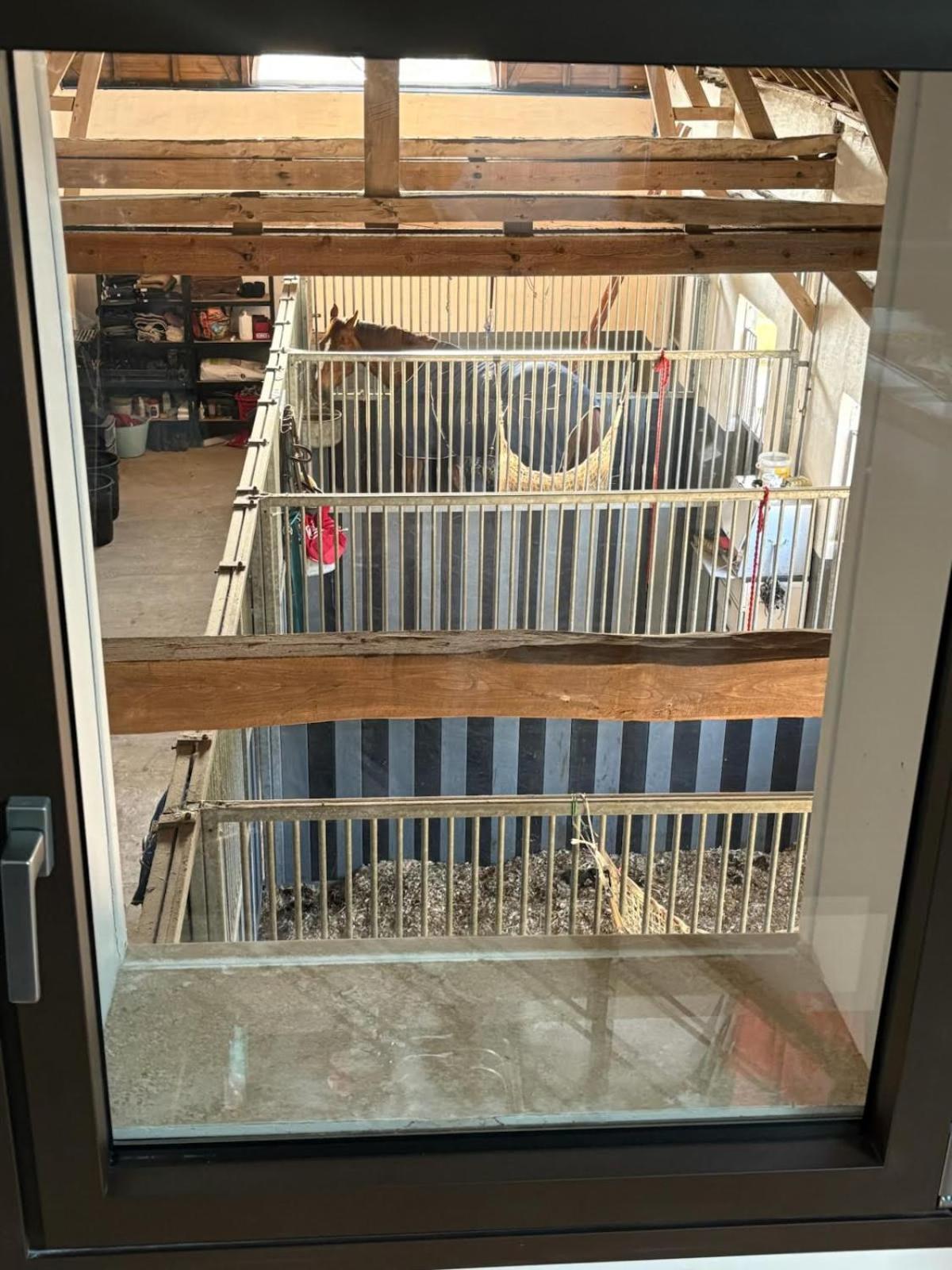 吉特思卡萨莱迪维托酒店 Longvilliers  外观 照片